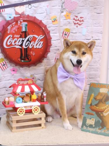 20230928マロンちゃん